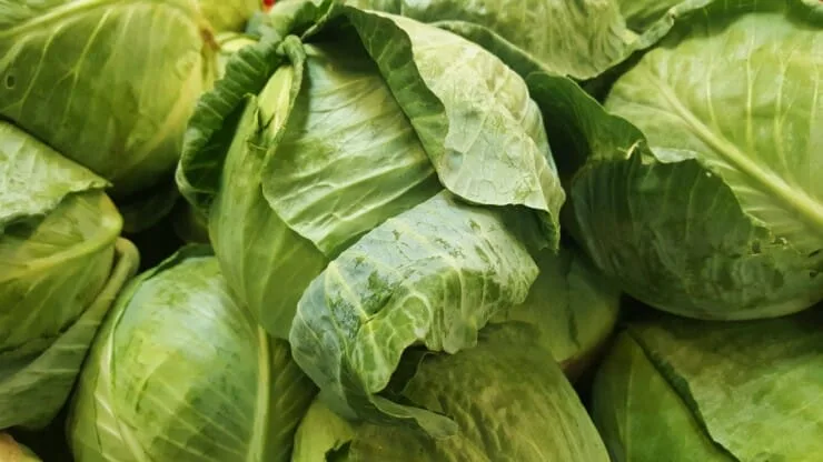Why Is There a Strange Cabbage Smell in My House?